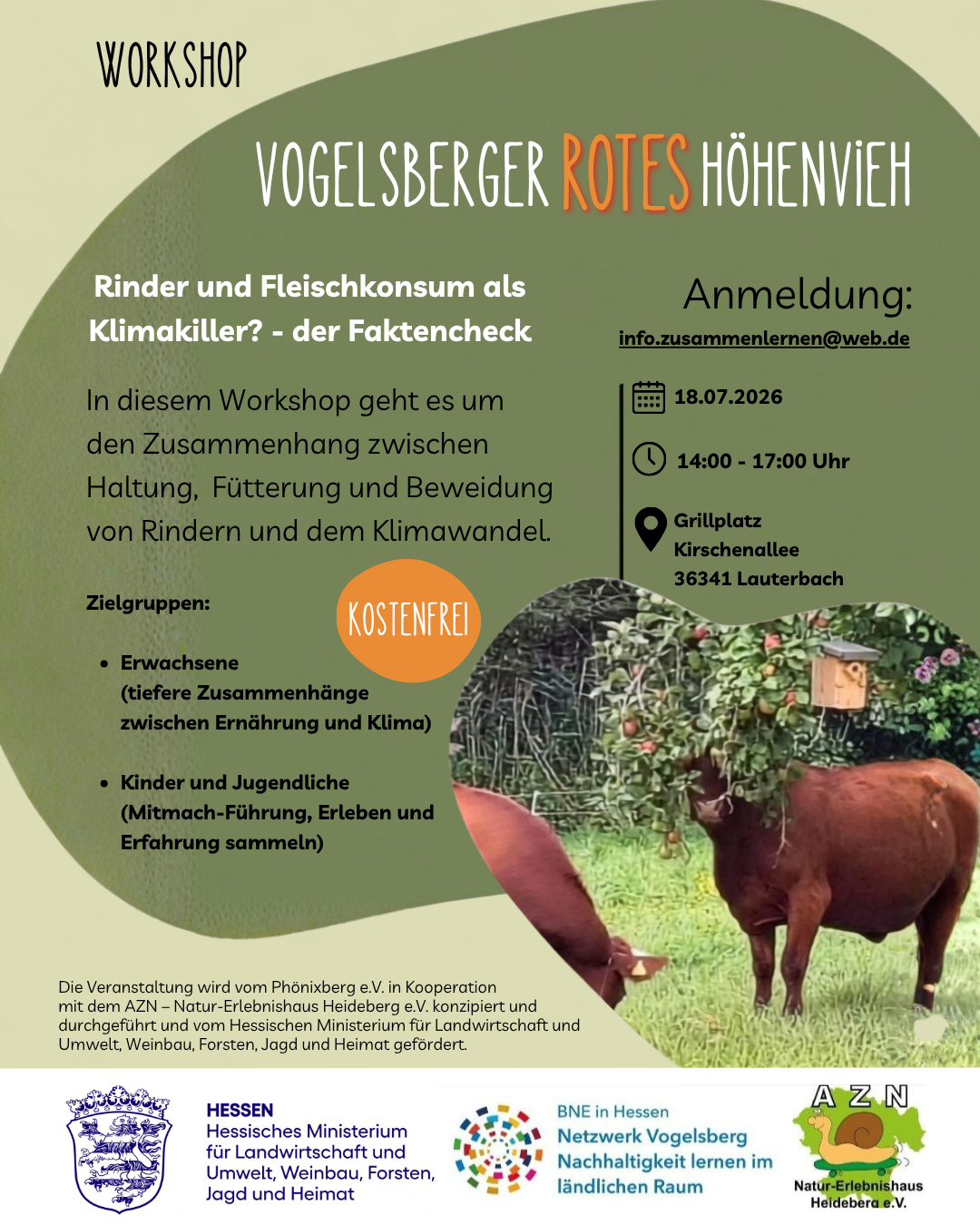 Workshop Vogelsberger Rotes Höhenvieh